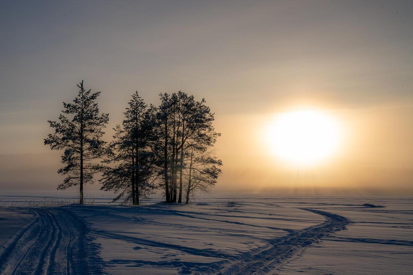 Villa Palojaerven Lomakeskus Sonka Esterno foto