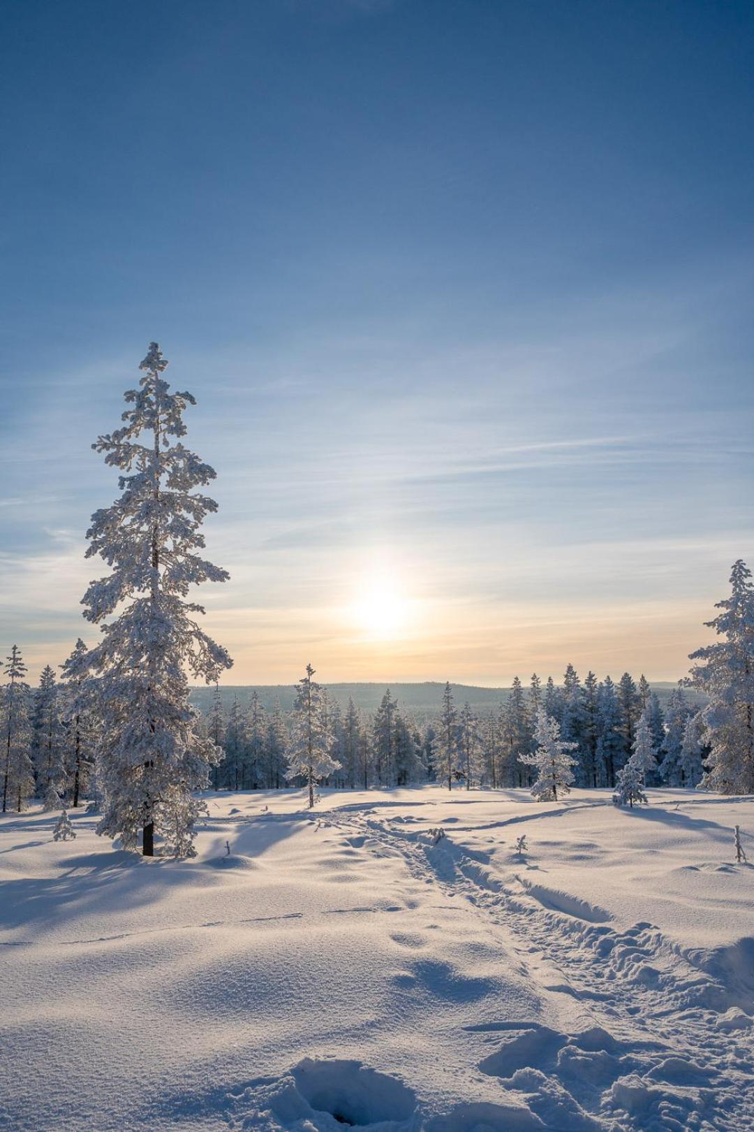 Villa Palojaerven Lomakeskus Sonka Esterno foto
