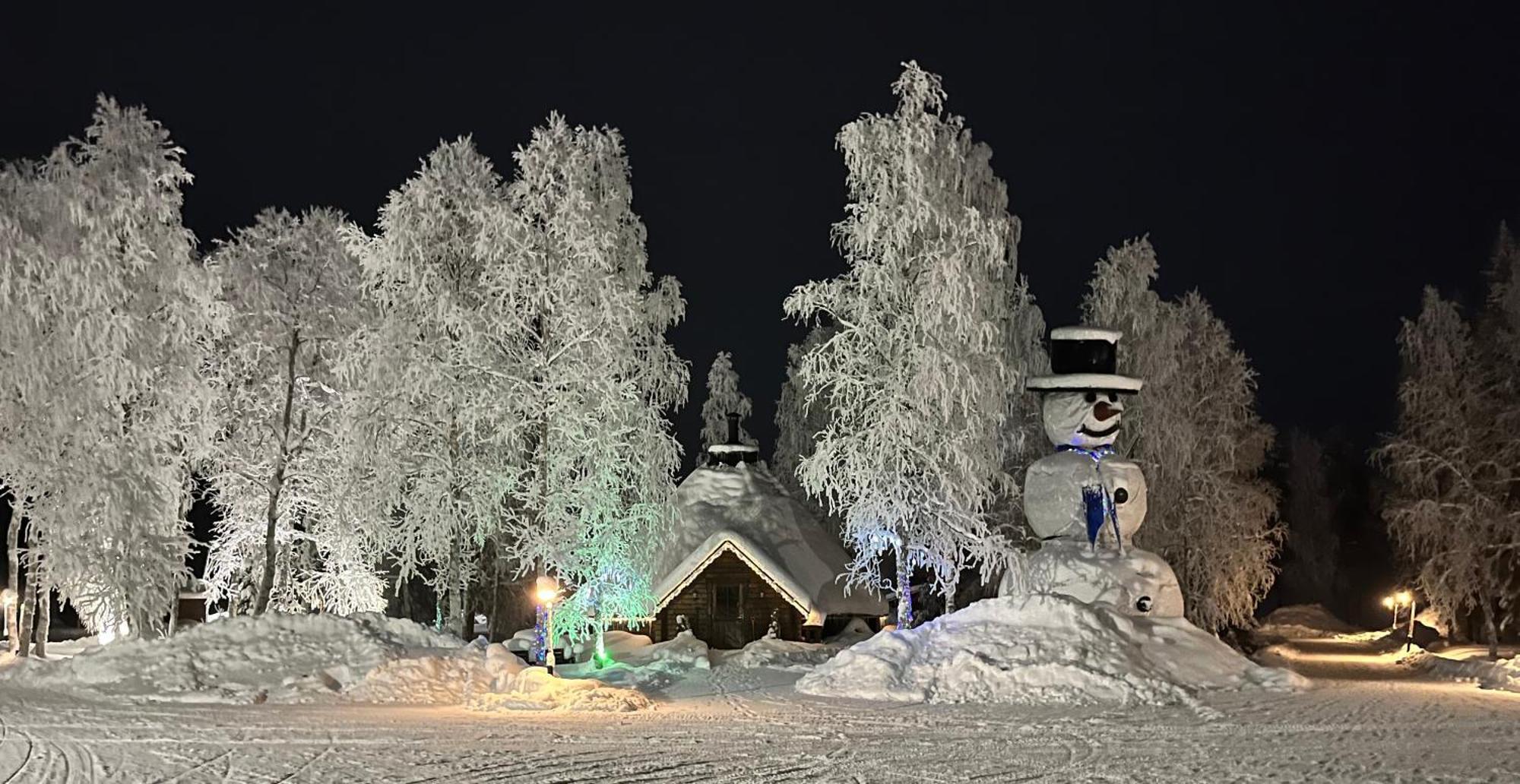 Villa Palojaerven Lomakeskus Sonka Esterno foto